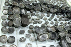 广西韦某用探宝仪器挖出大量银元