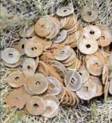 山东省泰安市肥城市林某在野外找到大量铜钱